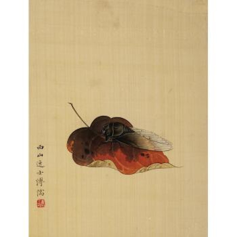 Cicada on autumn leaf by Pu Ru