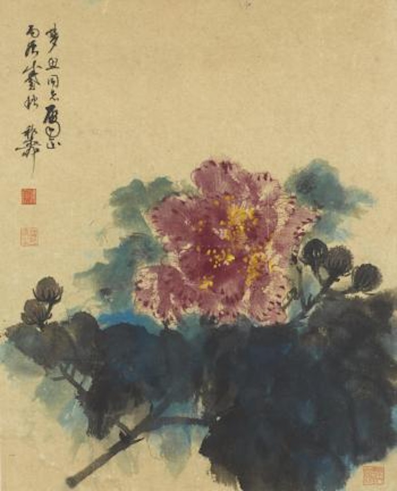 Peony by Xie Zhiliu