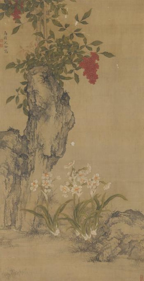 Narcissus And Rock by Shen Quan