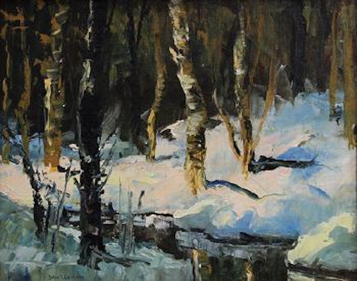 Colorado aspens by John Fabian Carlson