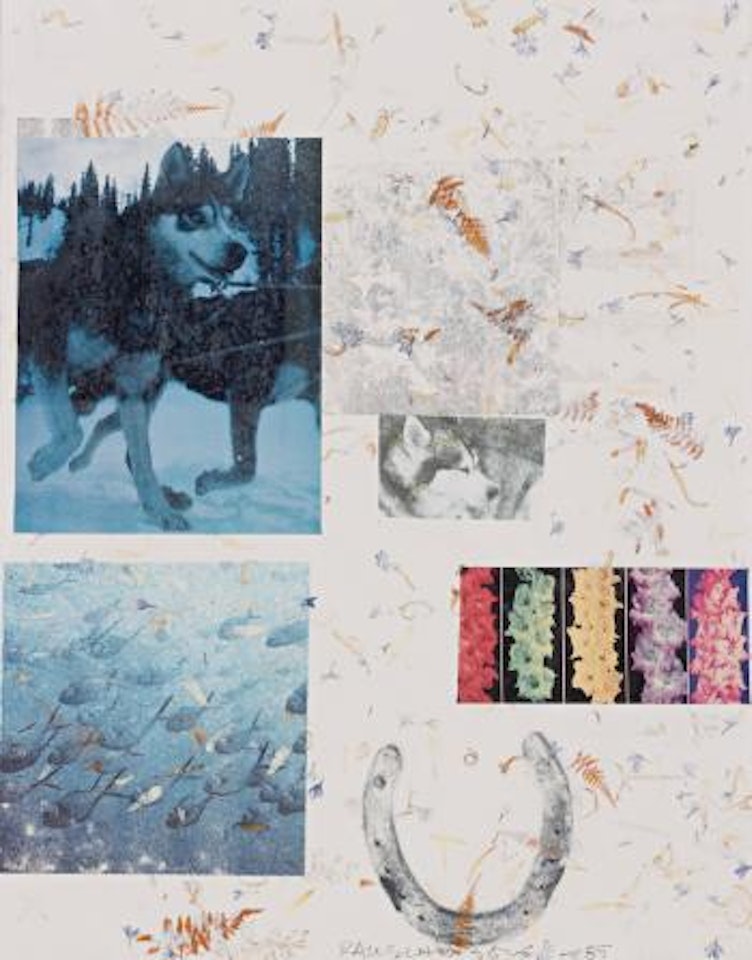 Untitled by Robert Rauschenberg