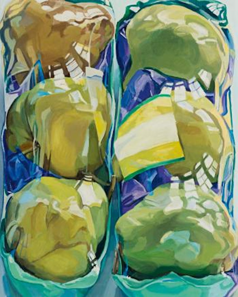 Untitled by Janet Fish