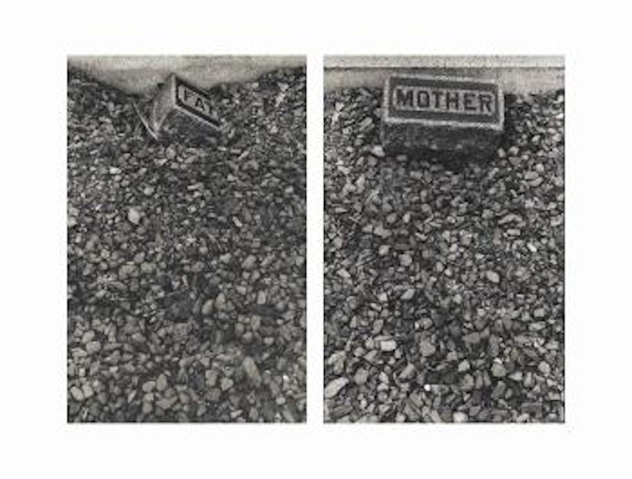 Father Mother (The Graves, #25) by Sophie Calle