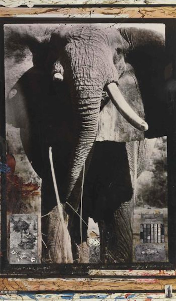 Tsavo Tusker, on the Athi-Tiva River by Peter Beard