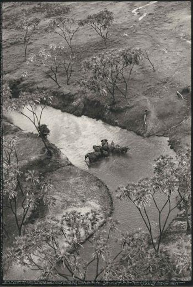 Bend in the River, Tsavo by Peter Beard