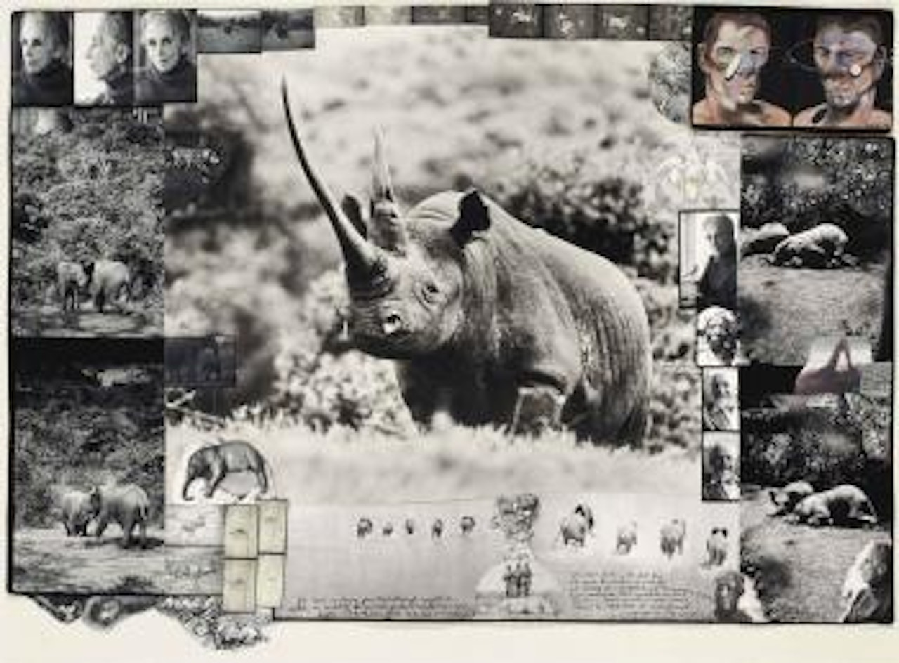 World-Class Rhino, Aberdare Forest by Peter Beard