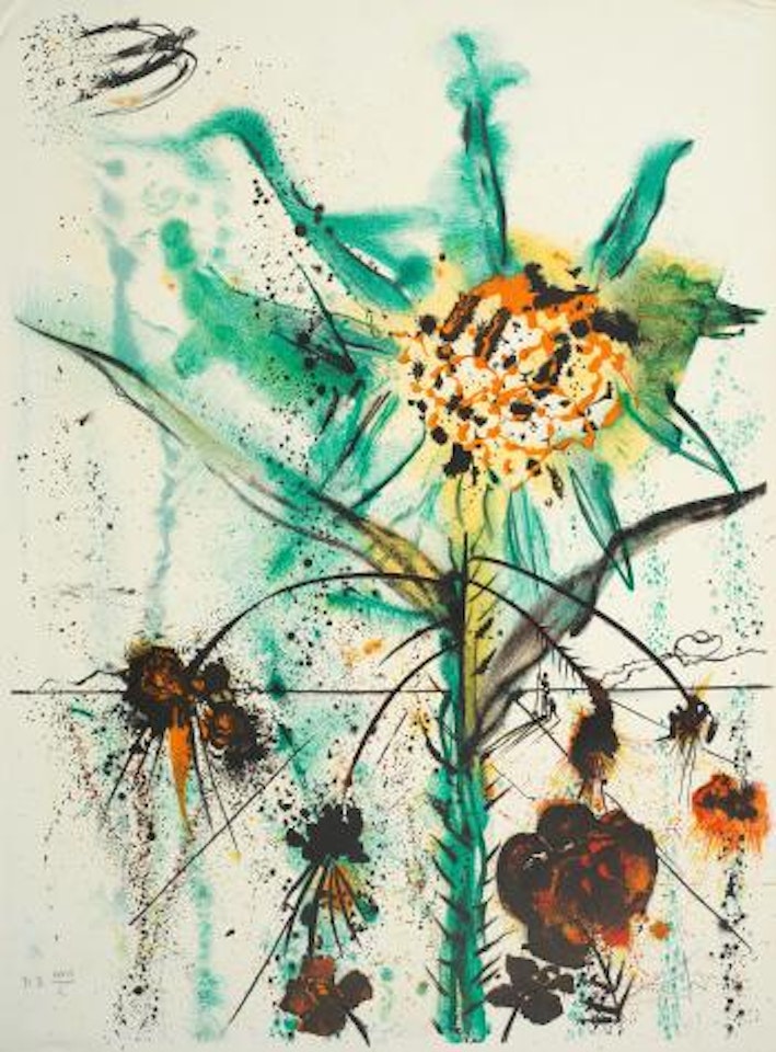 Sun Goddess Flower (Michler & Lopsinger 1386) by Salvador Dali