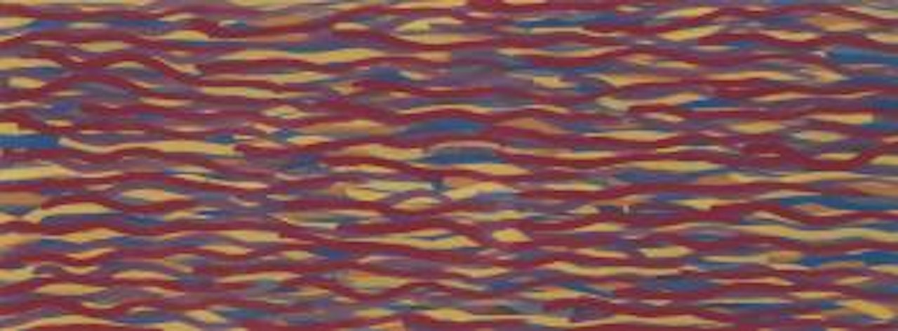 Lines in Color by Sol LeWitt
