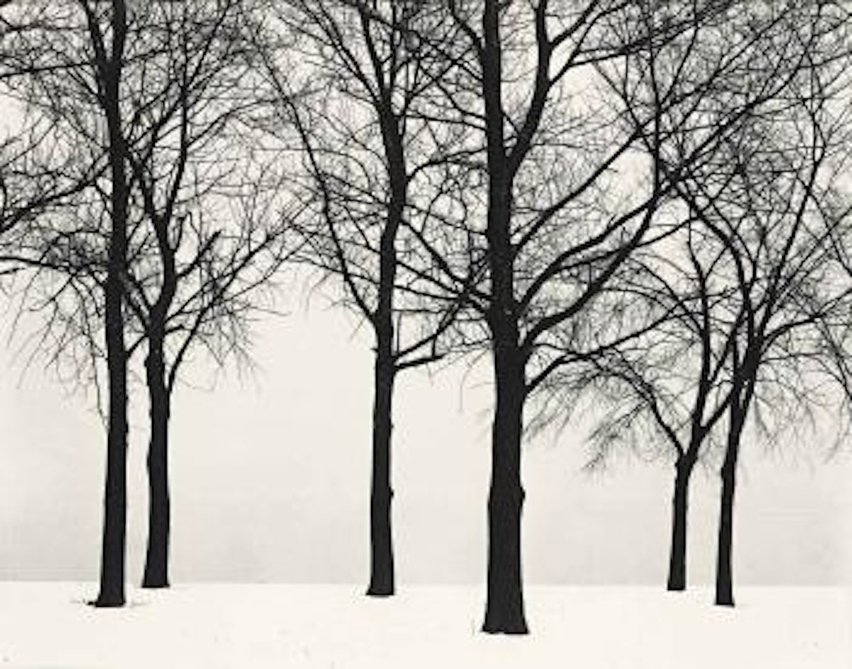 Chicago by Harry Callahan