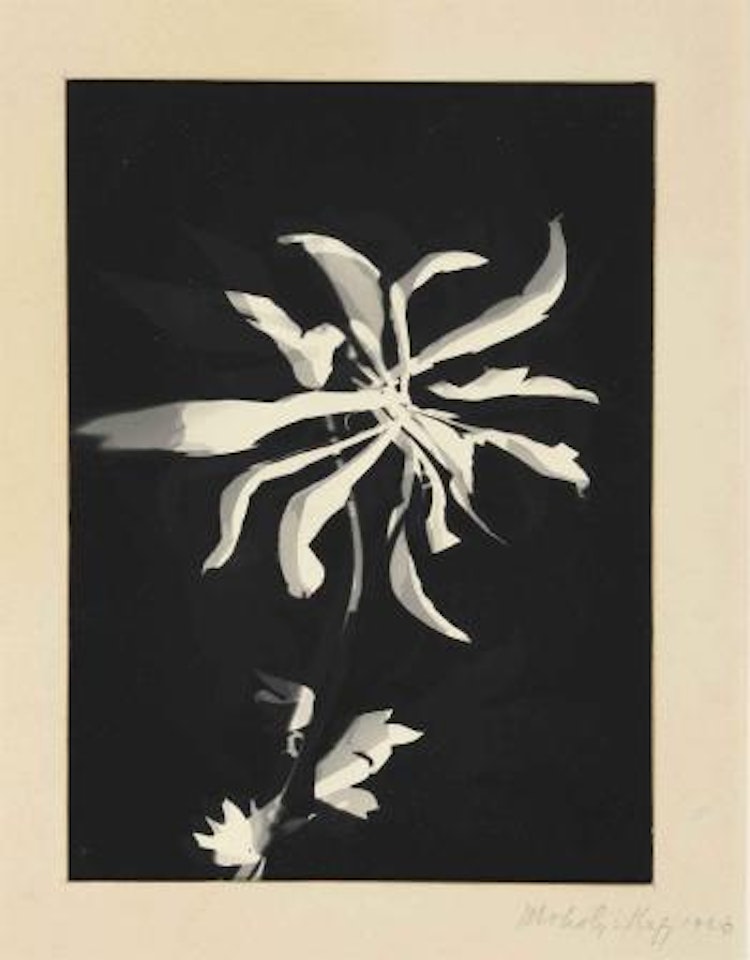 Untitled, Dessau by László Moholy-Nagy