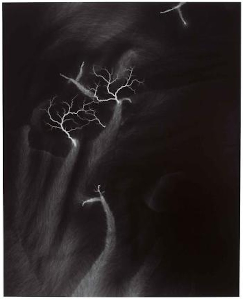 Lightning Fields 119 by Hiroshi Sugimoto