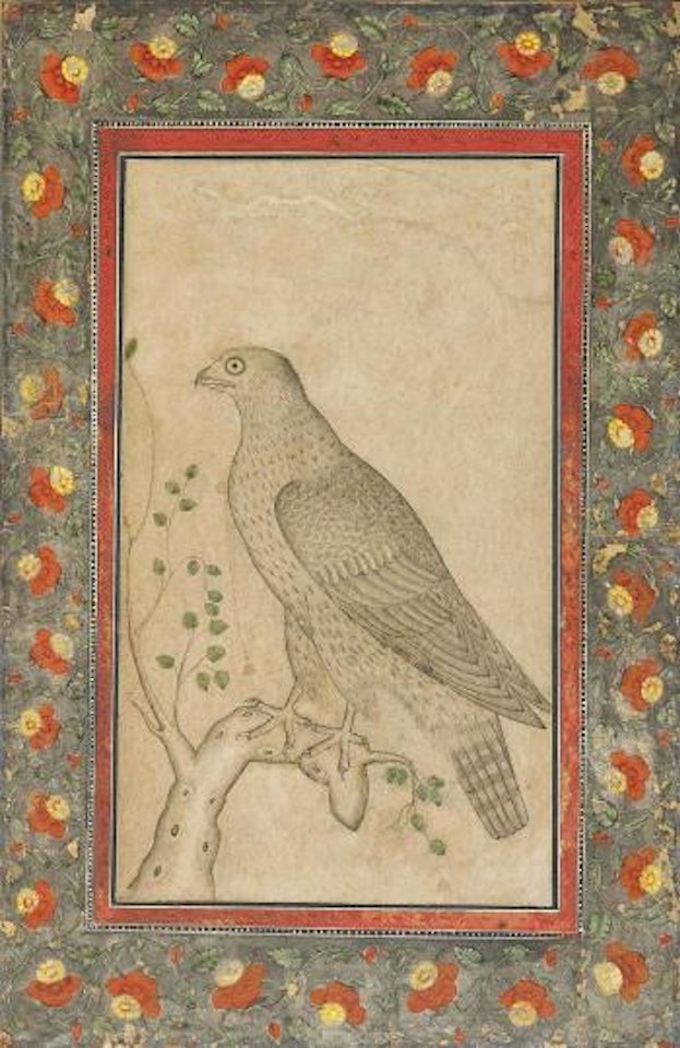 A Falcon On a Leafy Branch by Mughal School