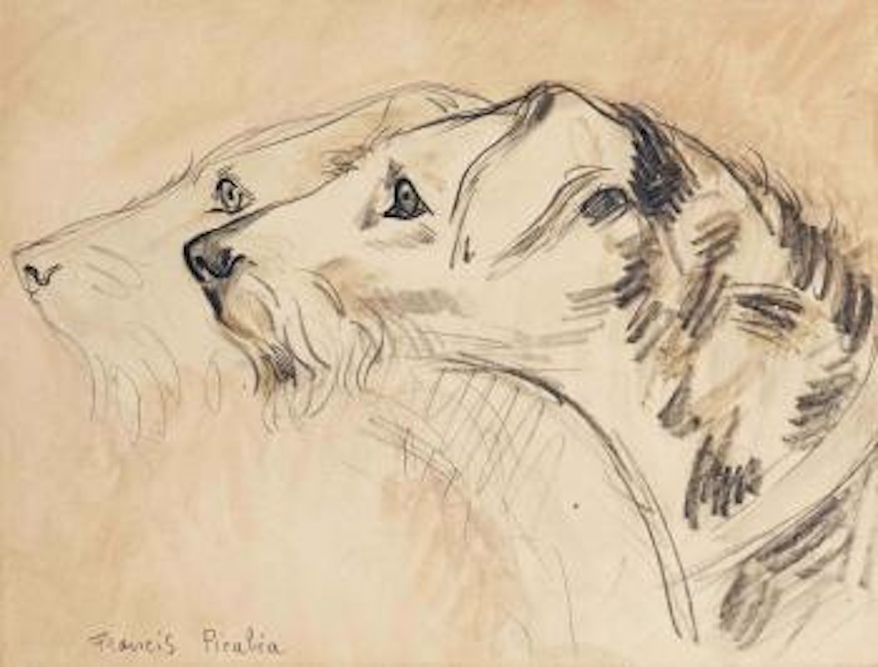 Têtes de chiens by Francis Picabia