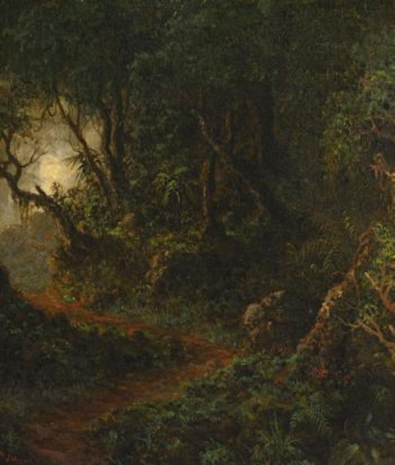 Tropical Greenery by Martin Johnson Heade