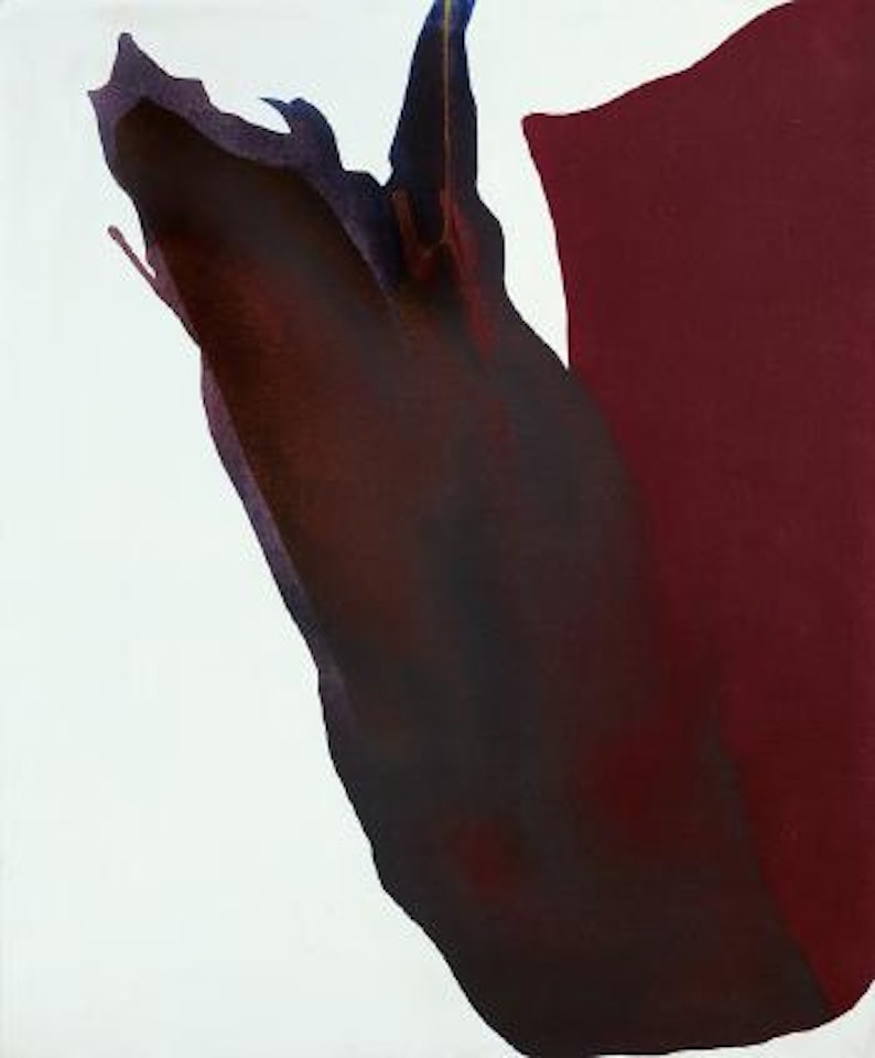 Phenomena Red Watch by Paul Jenkins
