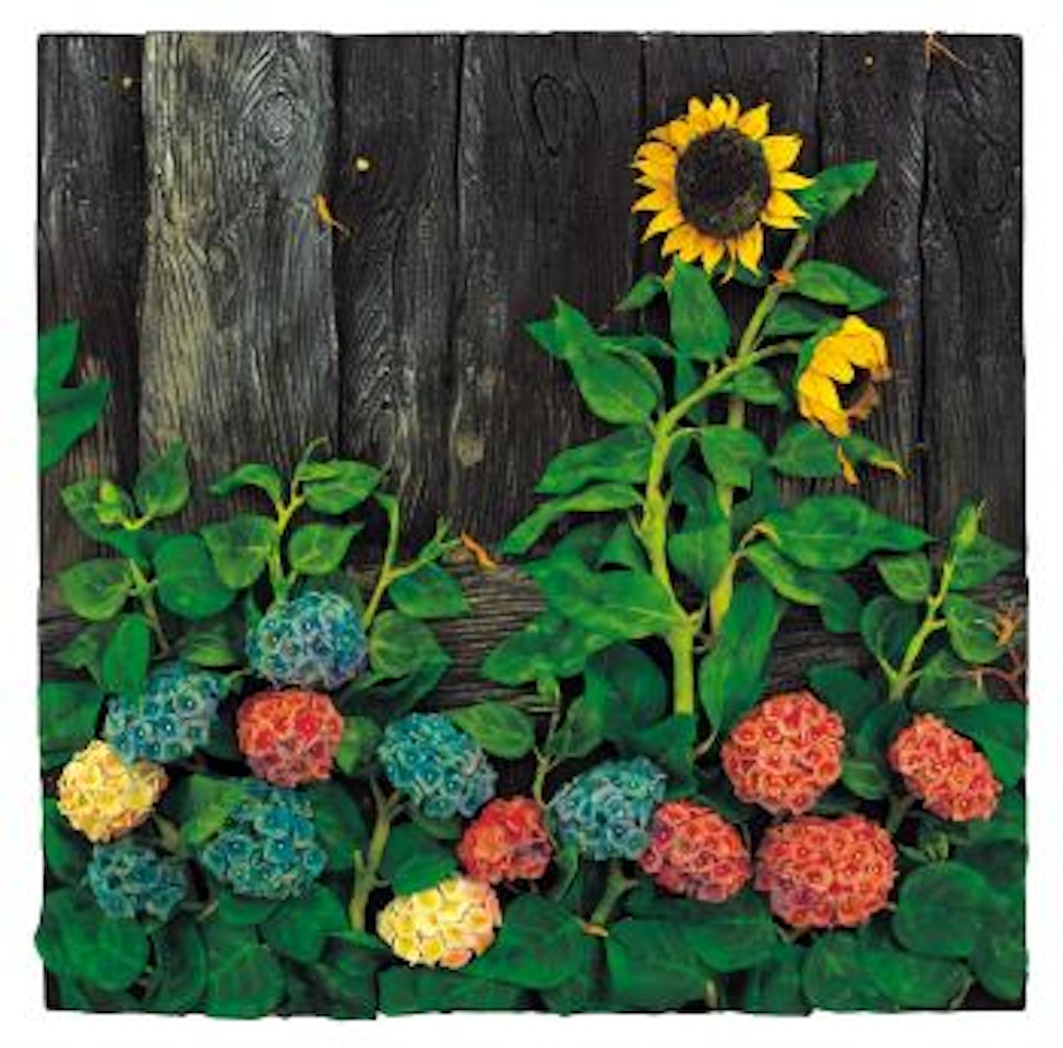 Ortensie by Piero Gilardi