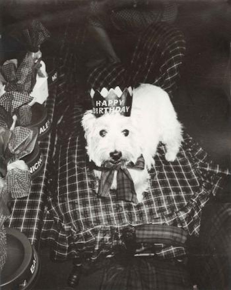 Birthday Dog by Andy Warhol
