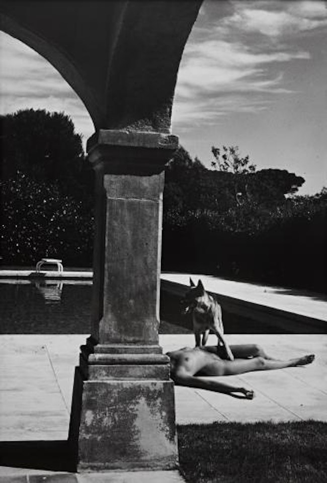 Nude and Police Dog, St. Tropez by Helmut Newton
