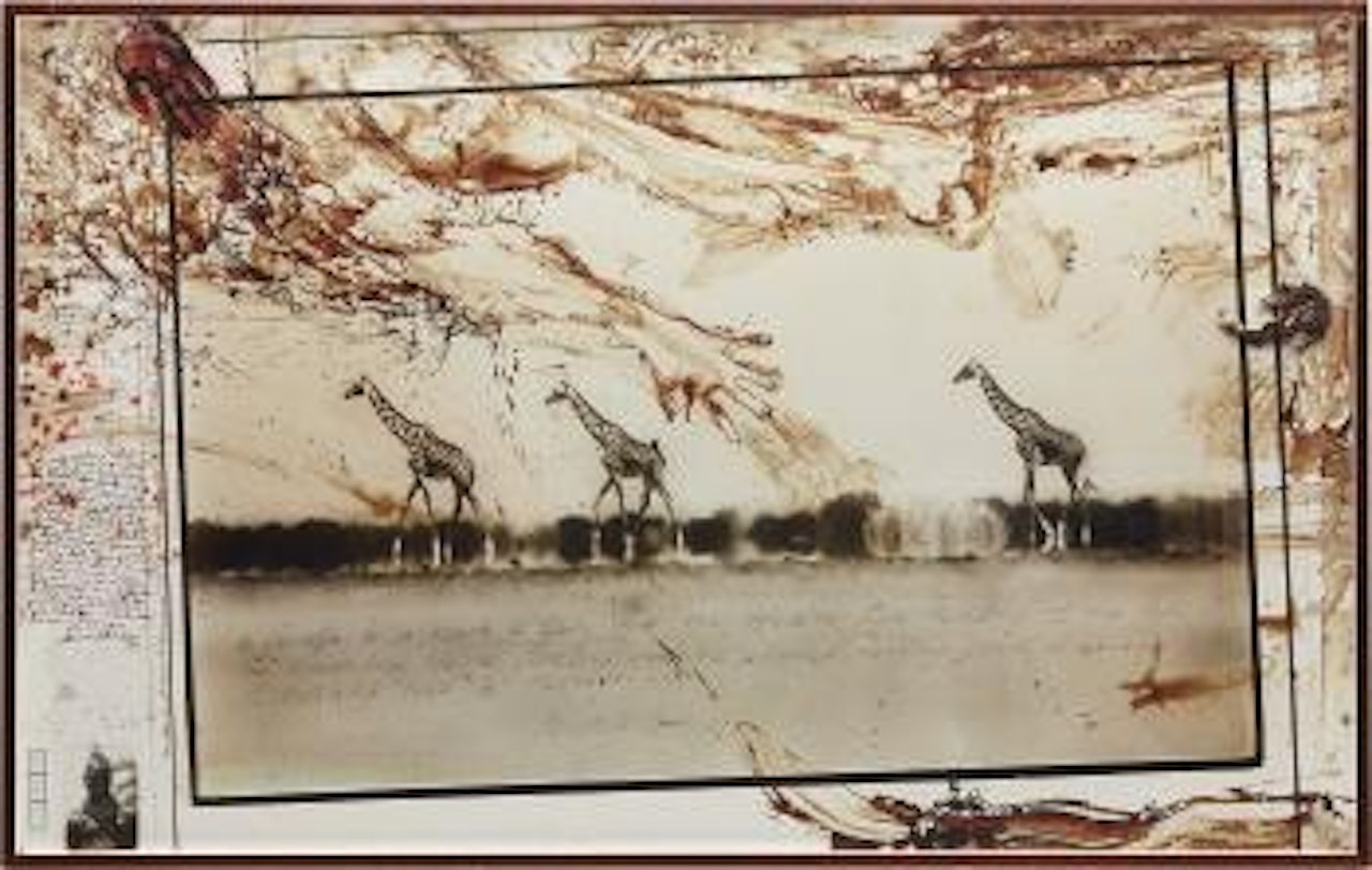 Giraffes in Mirage on the Taru Desert, Kenya, June by Peter Beard