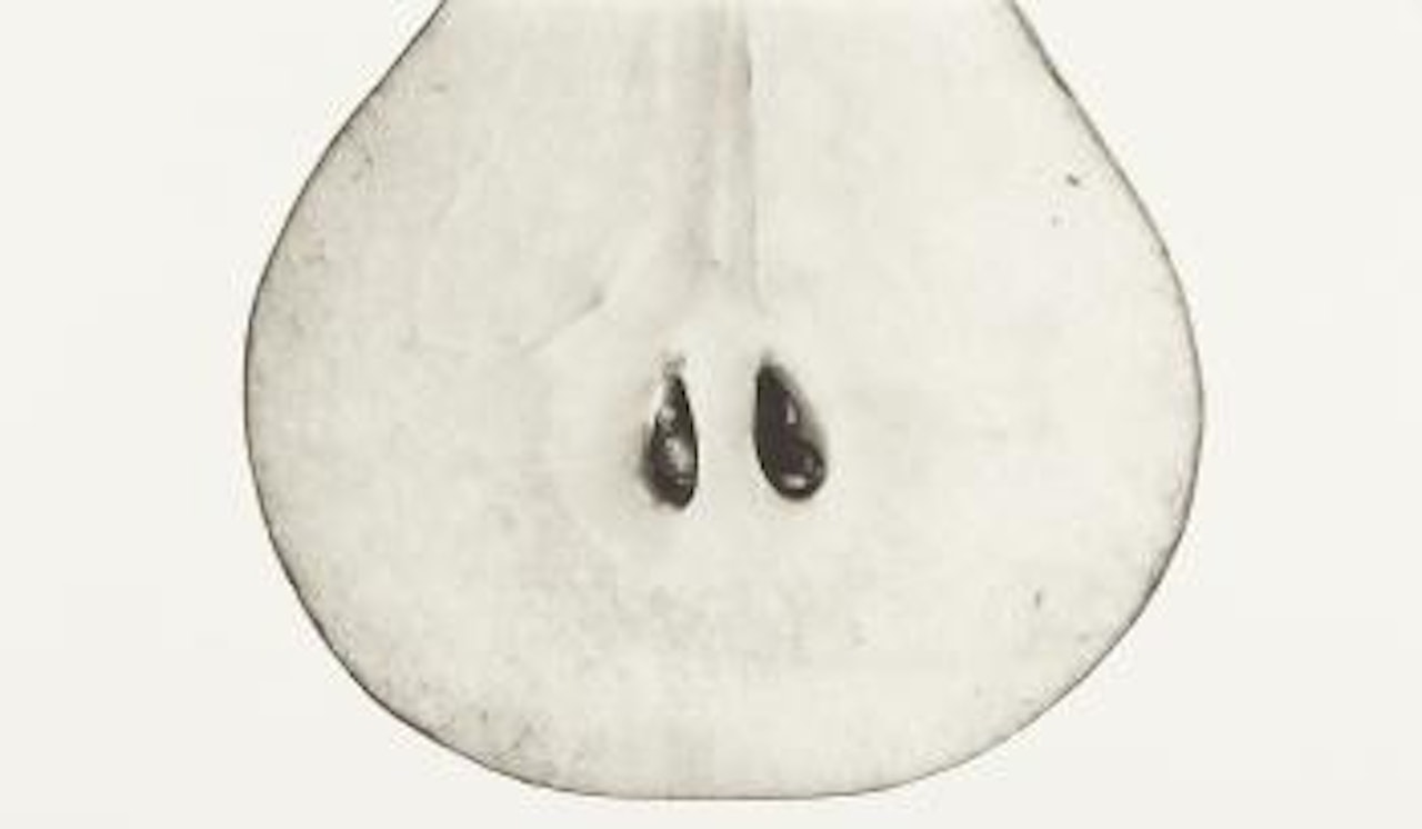 Pear with Seeds (A), New York by Irving Penn