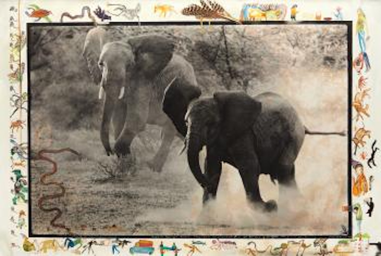 Buffalo Springs, Kenya, July by Peter Beard