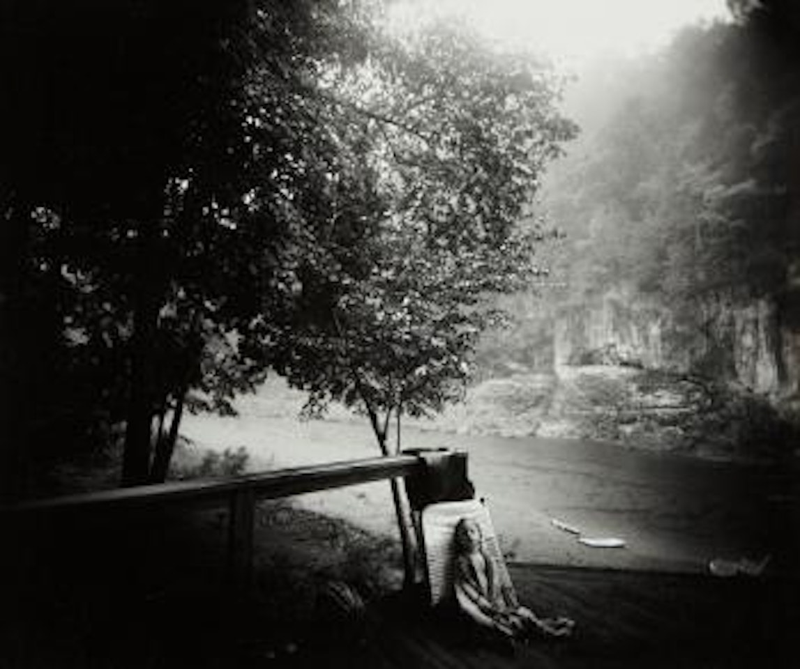 The Alligator's Approach by Sally Mann