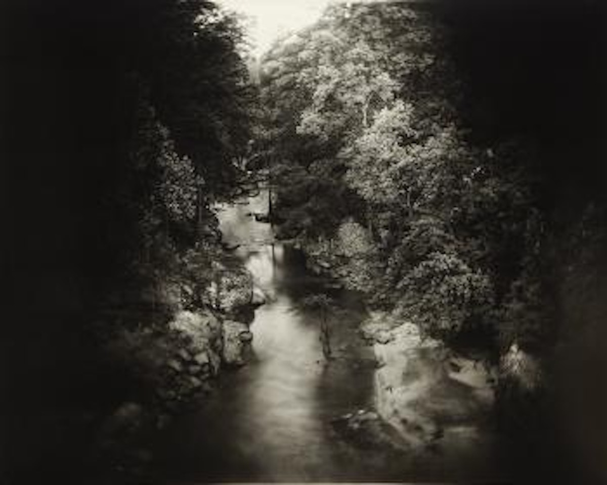 Untitled from Deep South by Sally Mann
