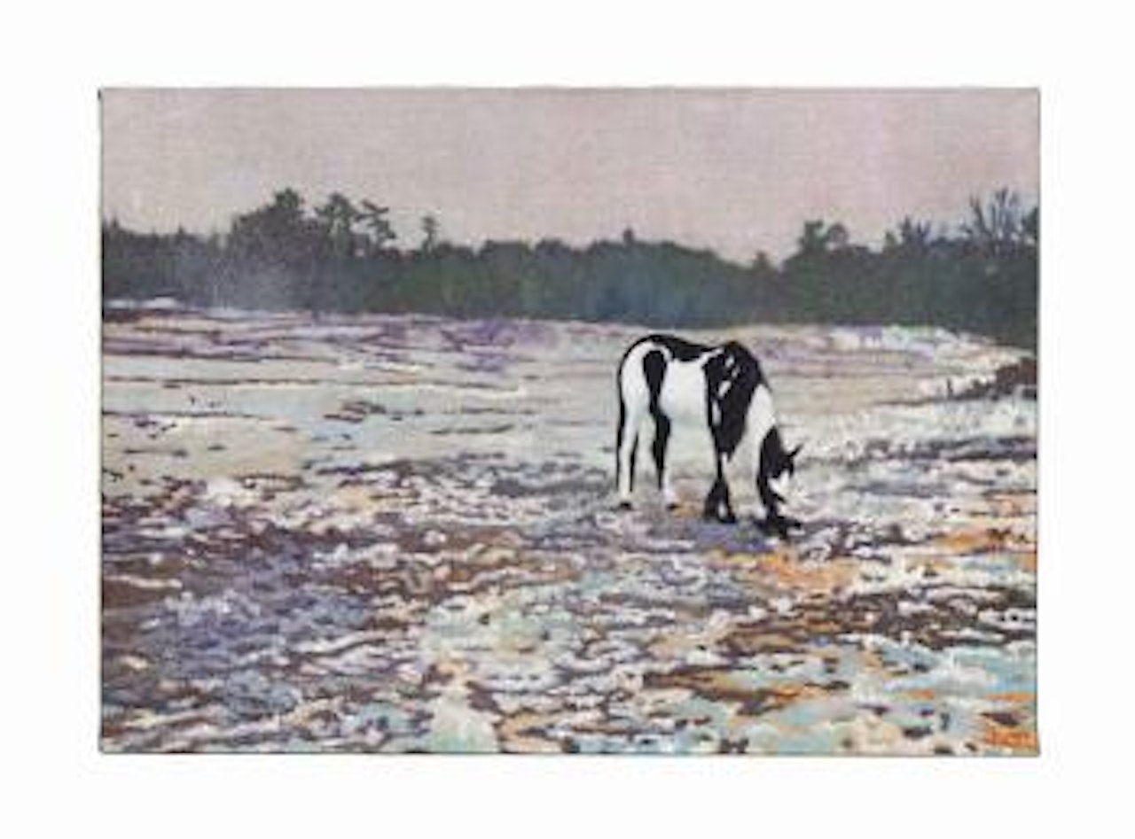 Pinto by Peter Doig