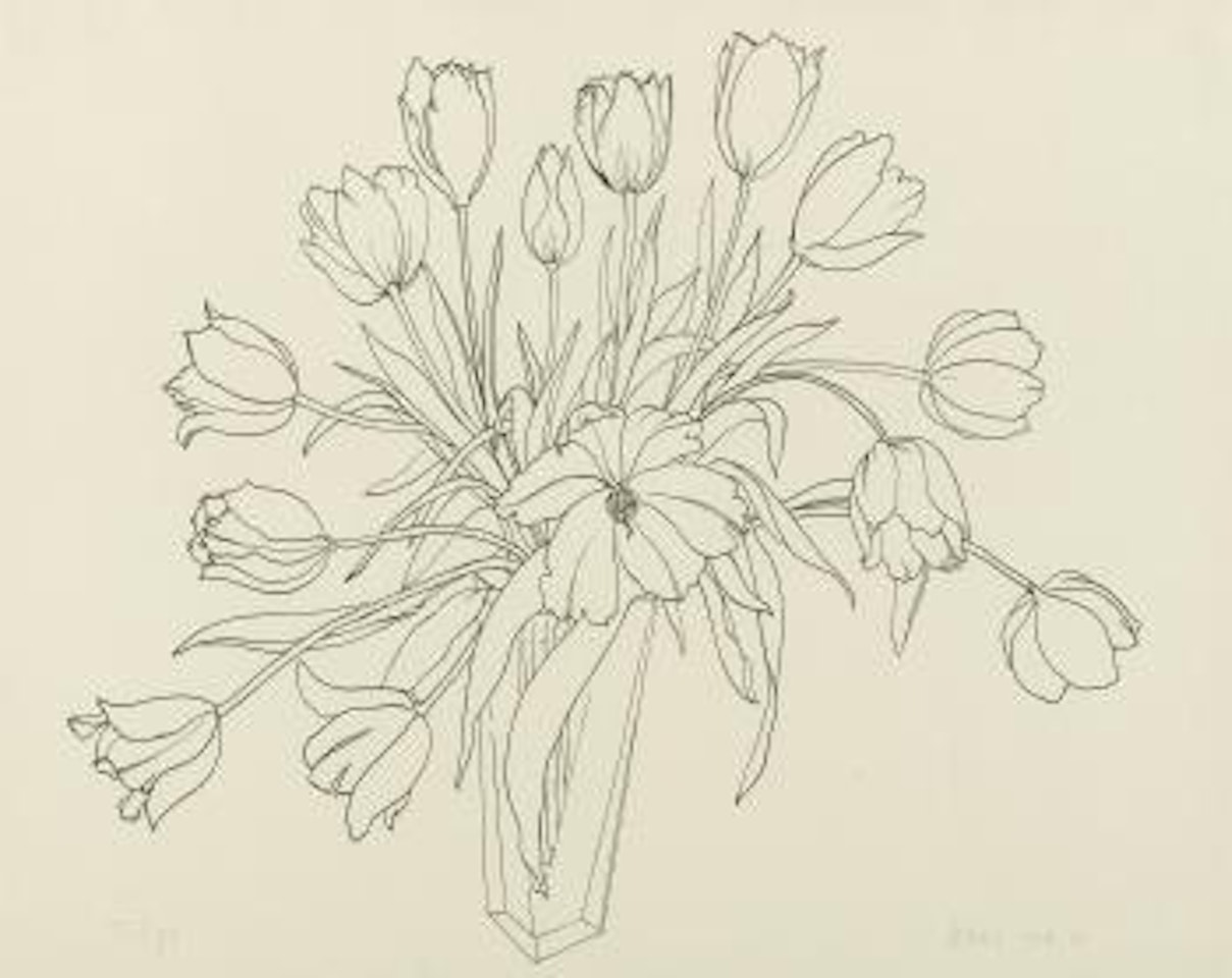 Tulips by Ruth Asawa