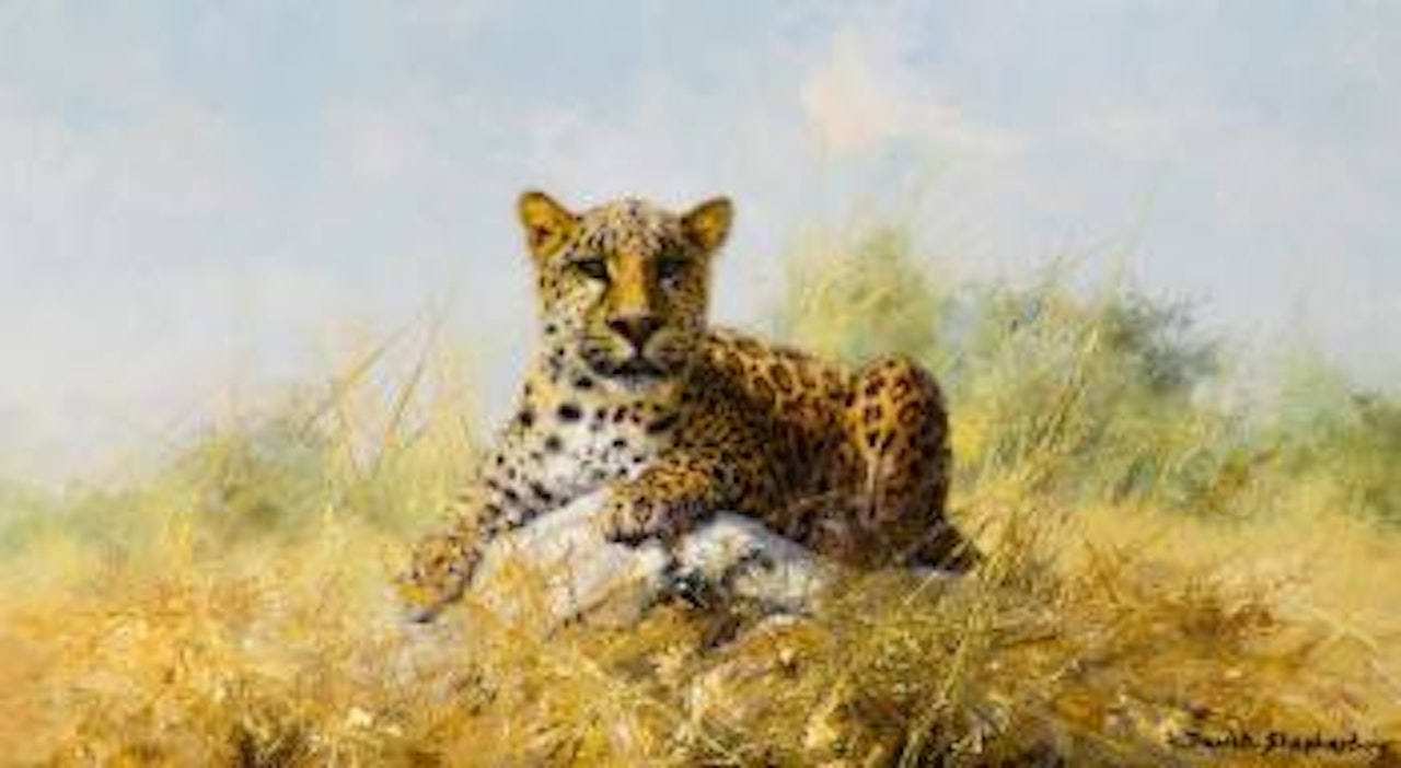 Leopard by David Shepherd
