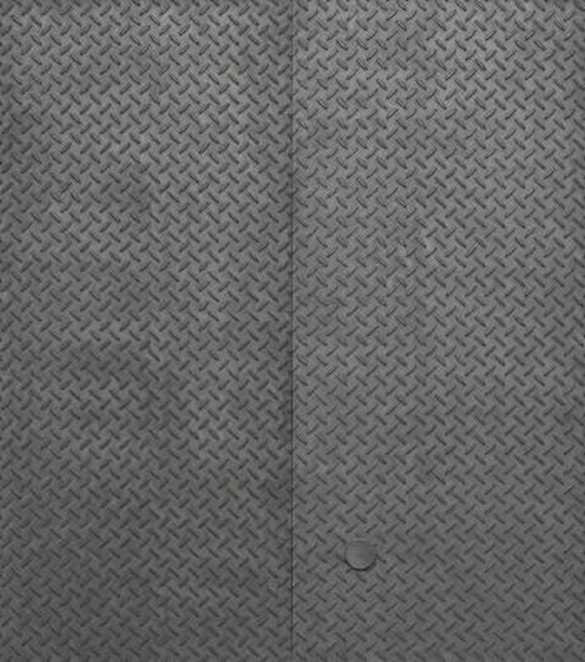 Basement Doors by Adam McEwen