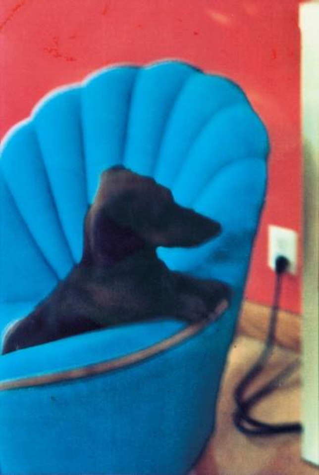 Untitled (Hound) by David Hockney