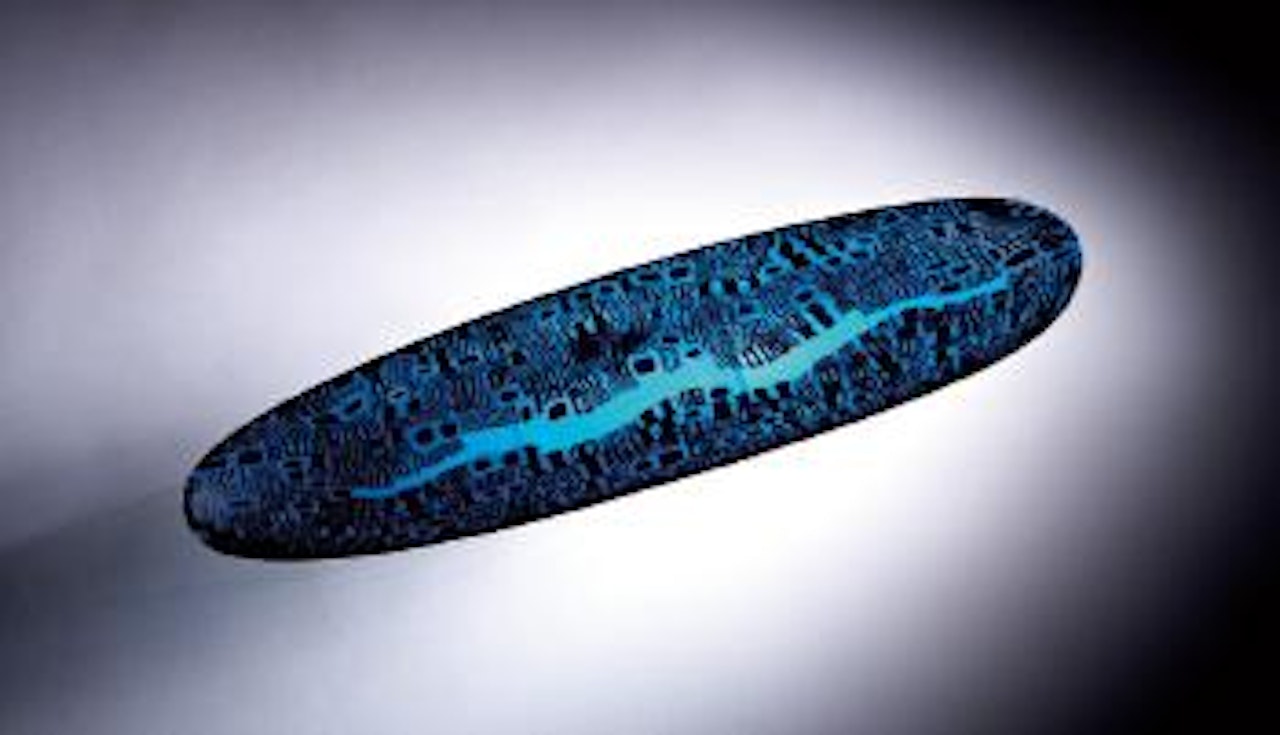 Rare Canoa a Murrine by Paolo Venini