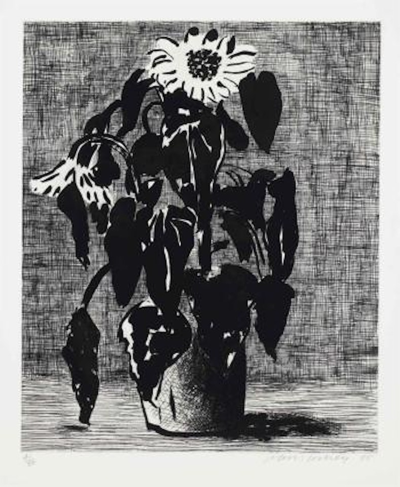 Sunflowers, I by David Hockney