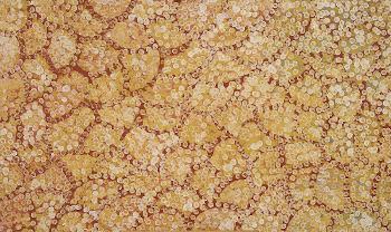 Bush Potato Dreaming by Emily Kame Kngwarreye