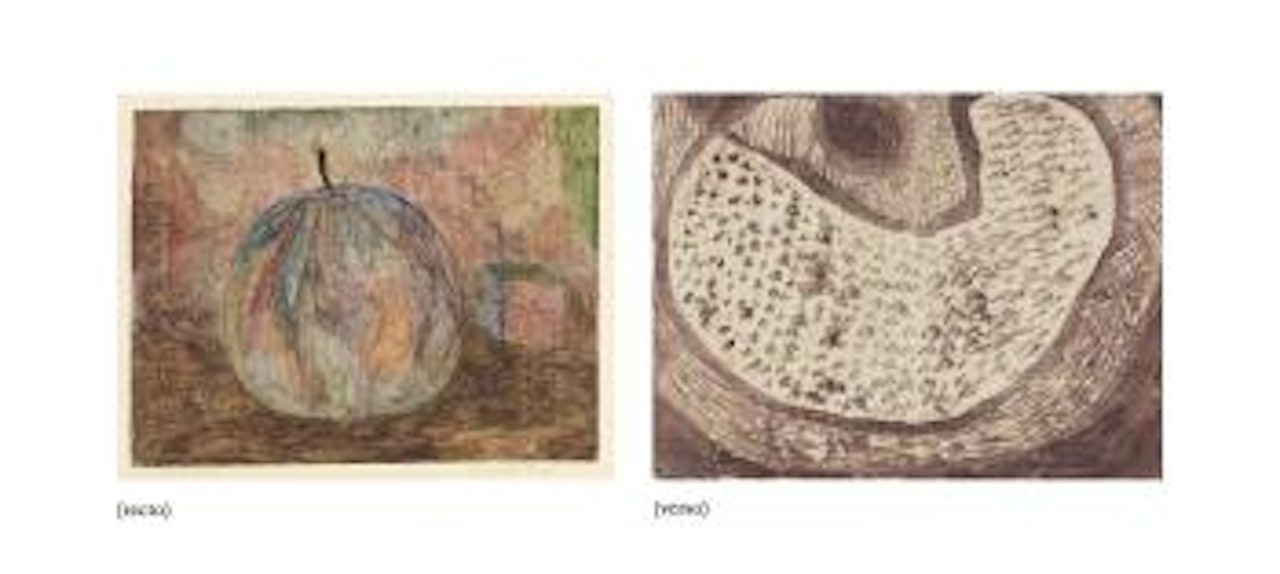 Künstliche Frucht (recto and verso) by Paul Klee