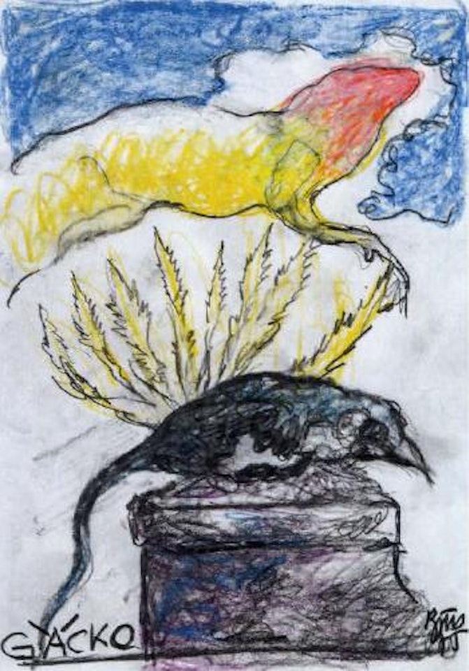 Gäcko by Gunter Brus