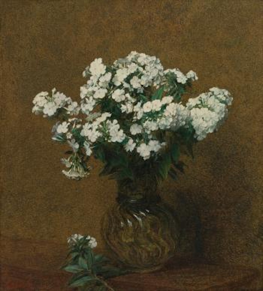 Phlox Blancs Dans Un Vase by Henri Fantin-Latour