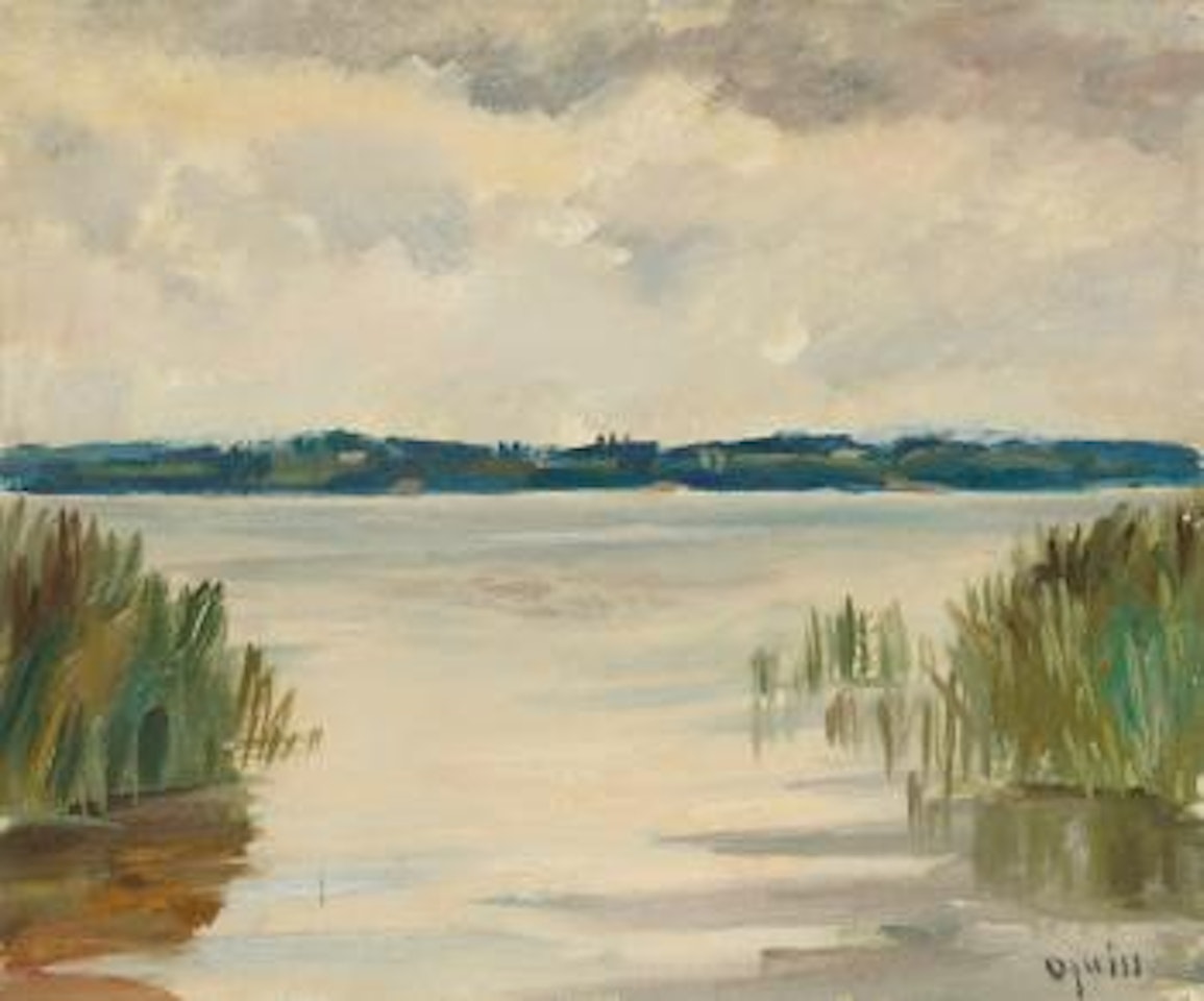 Lac Léman, Roseaux De Pointe-à-la-bise by Takanori Oguiss