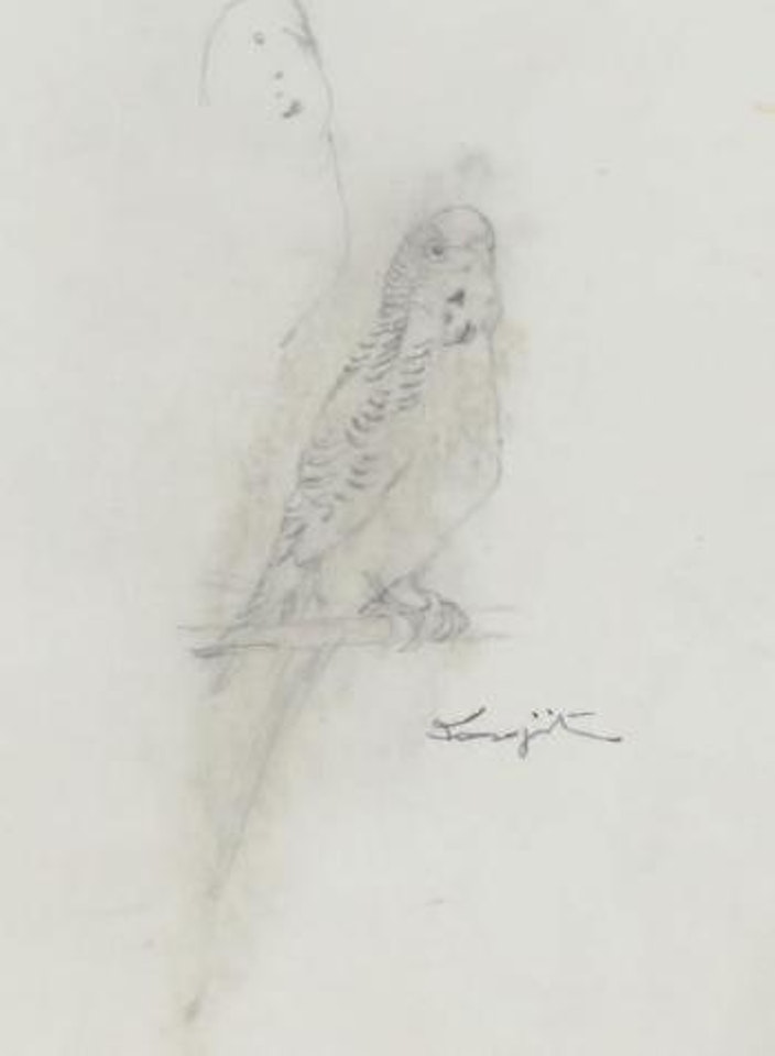 Perroquet perché by Leonard Tsuguharu Foujita