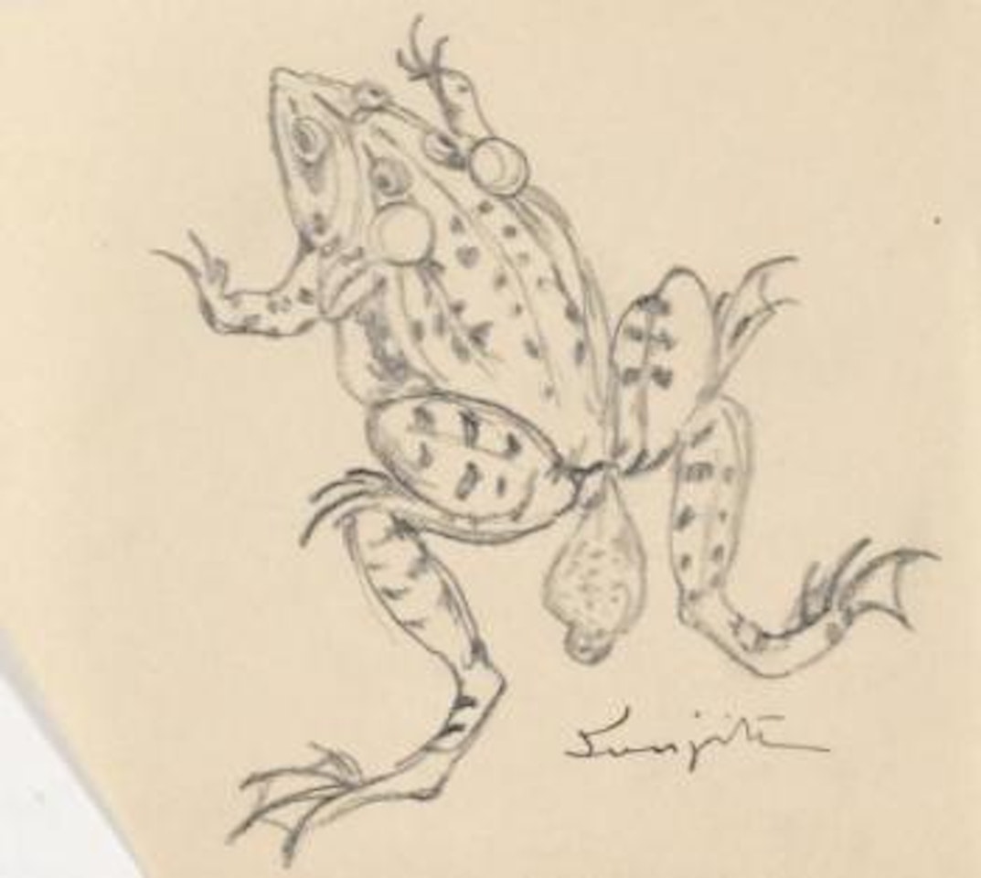 Grenouille sautant by Leonard Tsuguharu Foujita