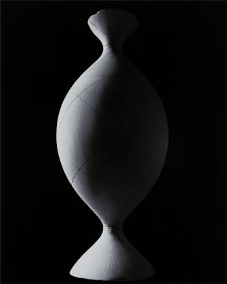 Mathematical Form: Surface 0004 (Onduloid: a surface of revolution with constant non-zero mean curvature) from the series Conceptual Forms by Hiroshi Sugimoto
