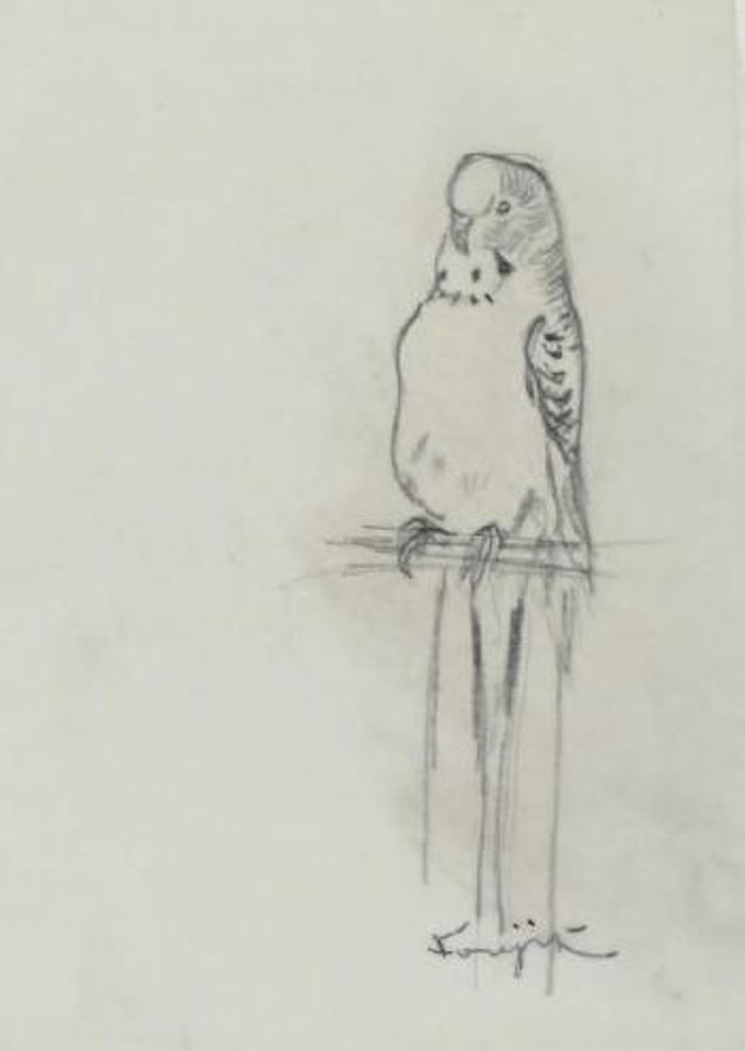 Perruche perchée by Leonard Tsuguharu Foujita