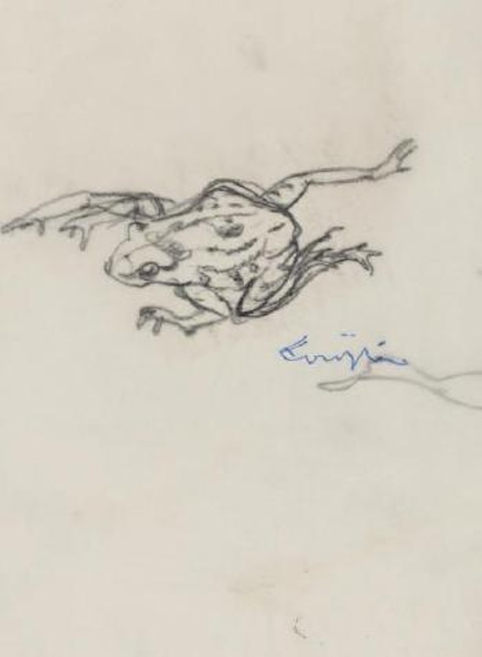Grenouille by Leonard Tsuguharu Foujita