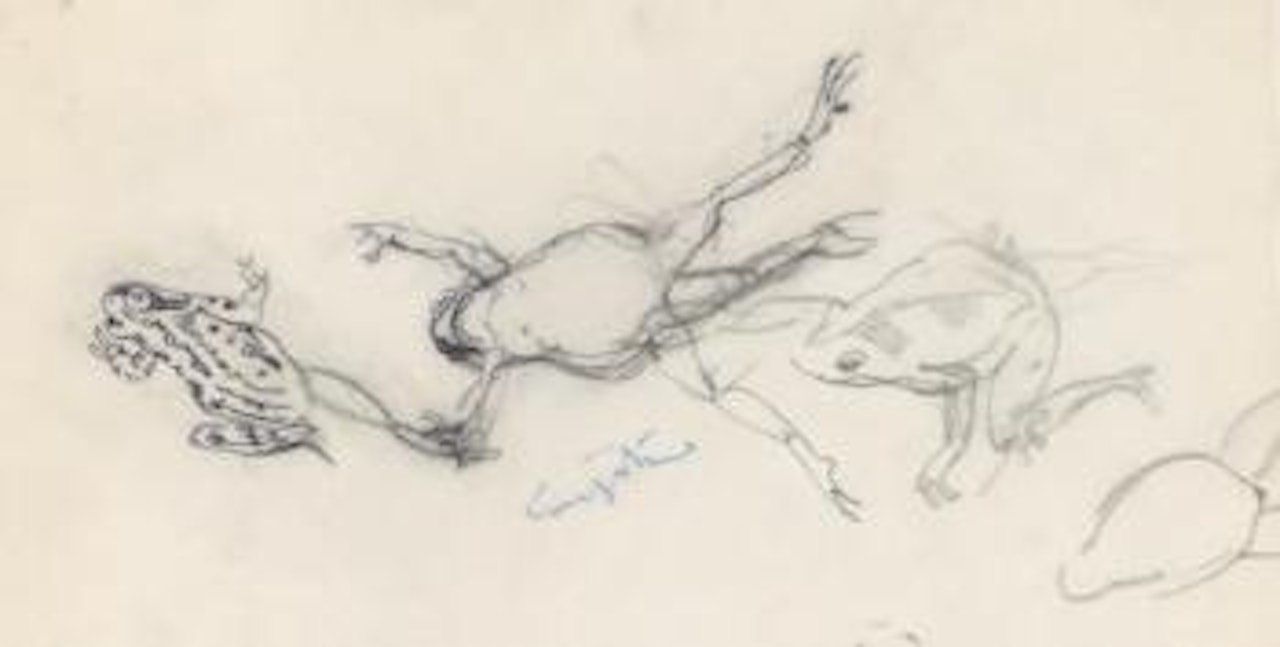 Le saut de la grenouille by Leonard Tsuguharu Foujita