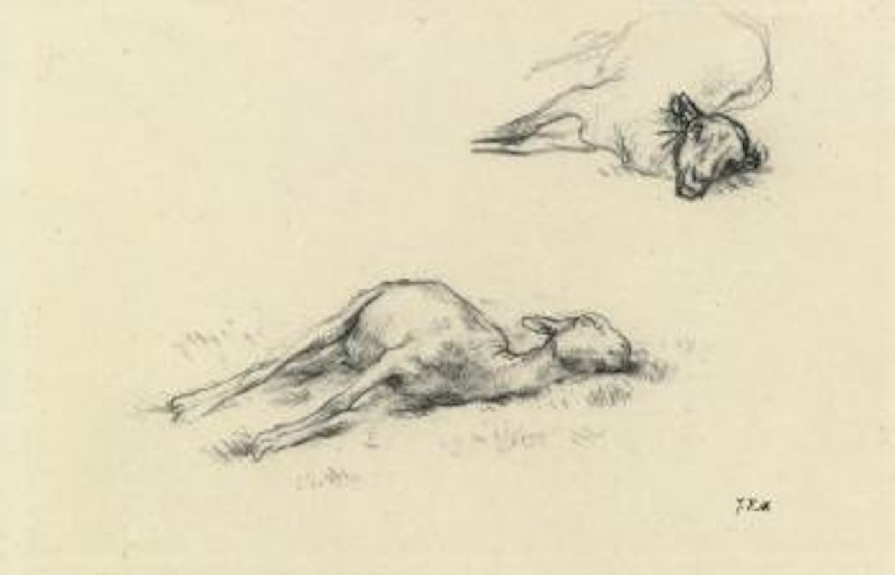 Study Of Two Shorn Sheep by Jean-François Millet