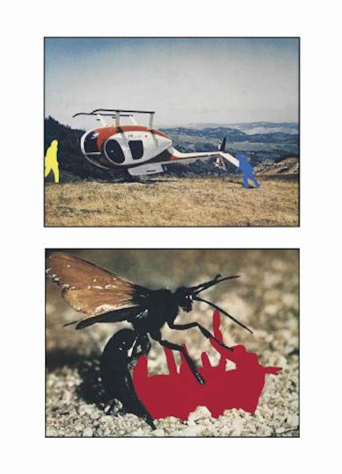 Helicopter and Insects (One Red), Version 1 by John Baldessari