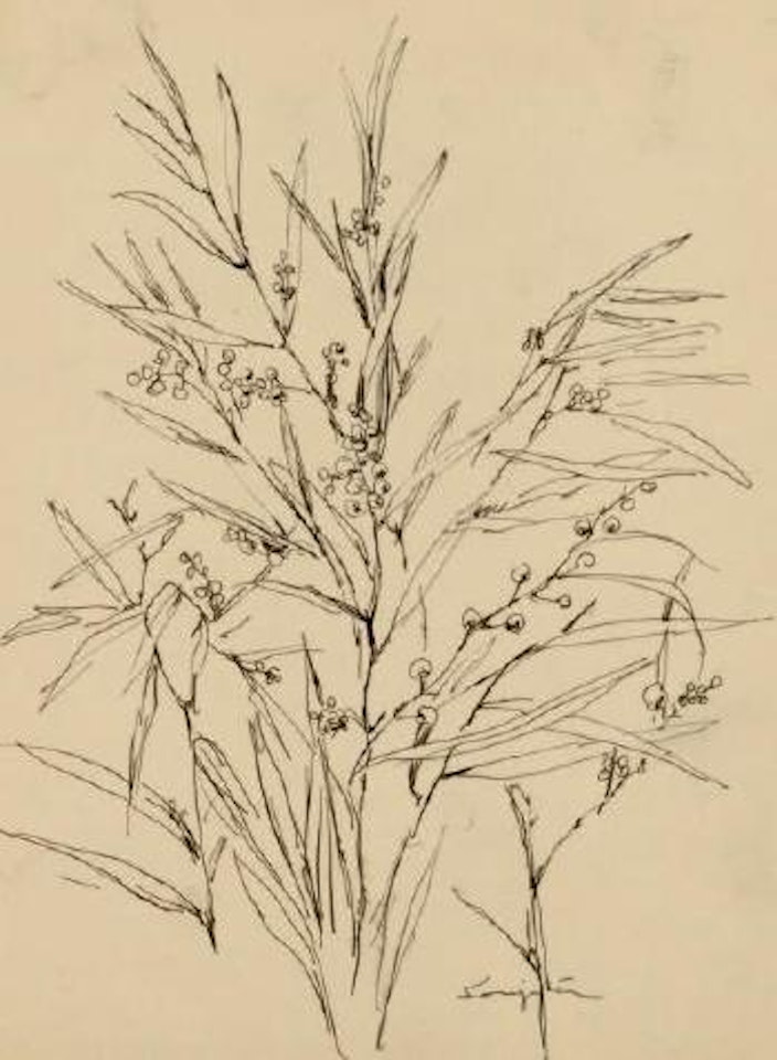 Baies sauvages by Leonard Tsuguharu Foujita