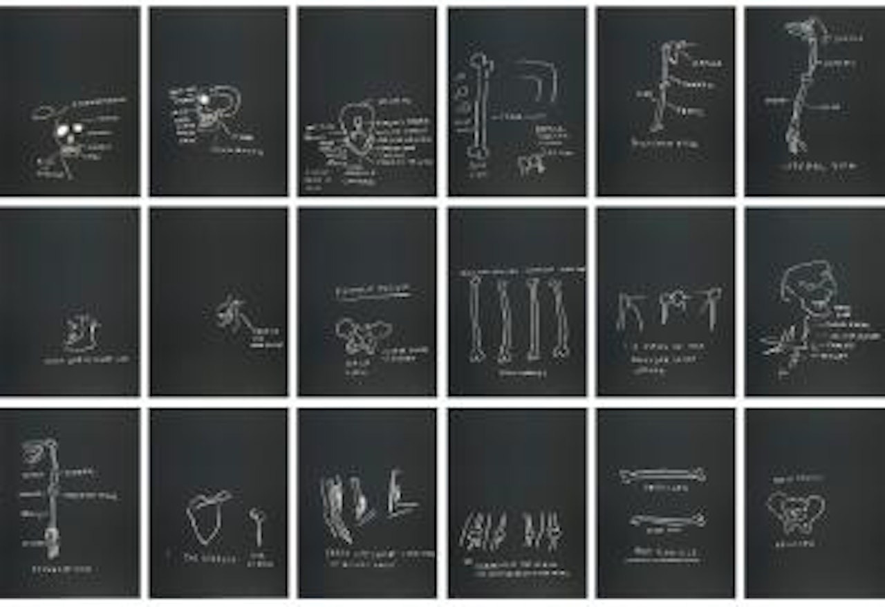 Anatomy by Jean-Michel Basquiat