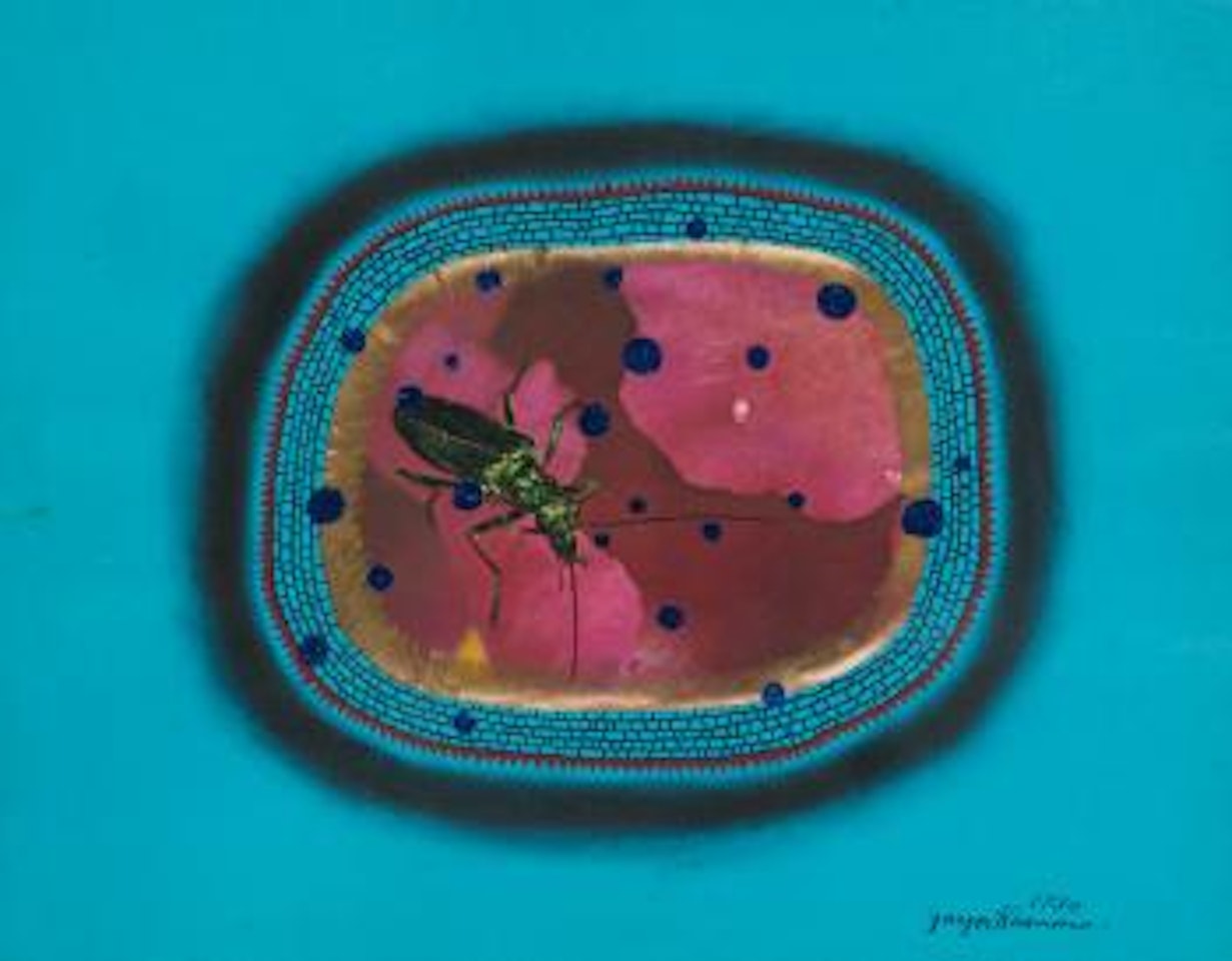 Insect by Yayoi Kusama